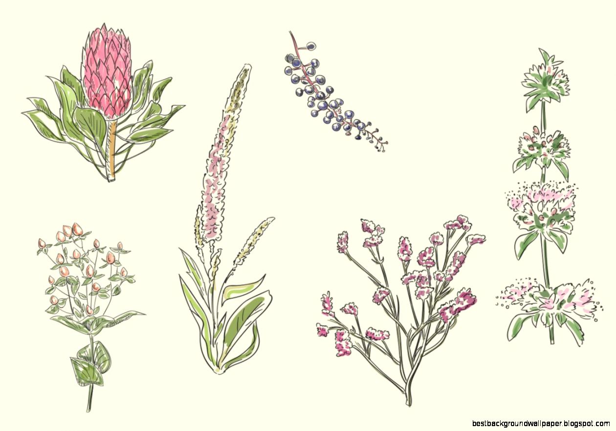 Flowers Free Vector Art 6109 Free Downloads Flowers Free Vector Art 6109 Free Downloads