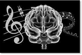 cervell musical