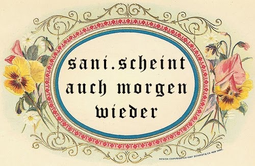 Sanischeintauchmorgenwieder