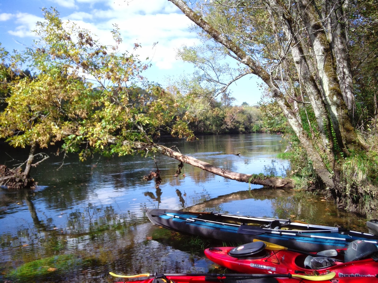 Hop. Spice. Travel. Kayaking the Clinch River