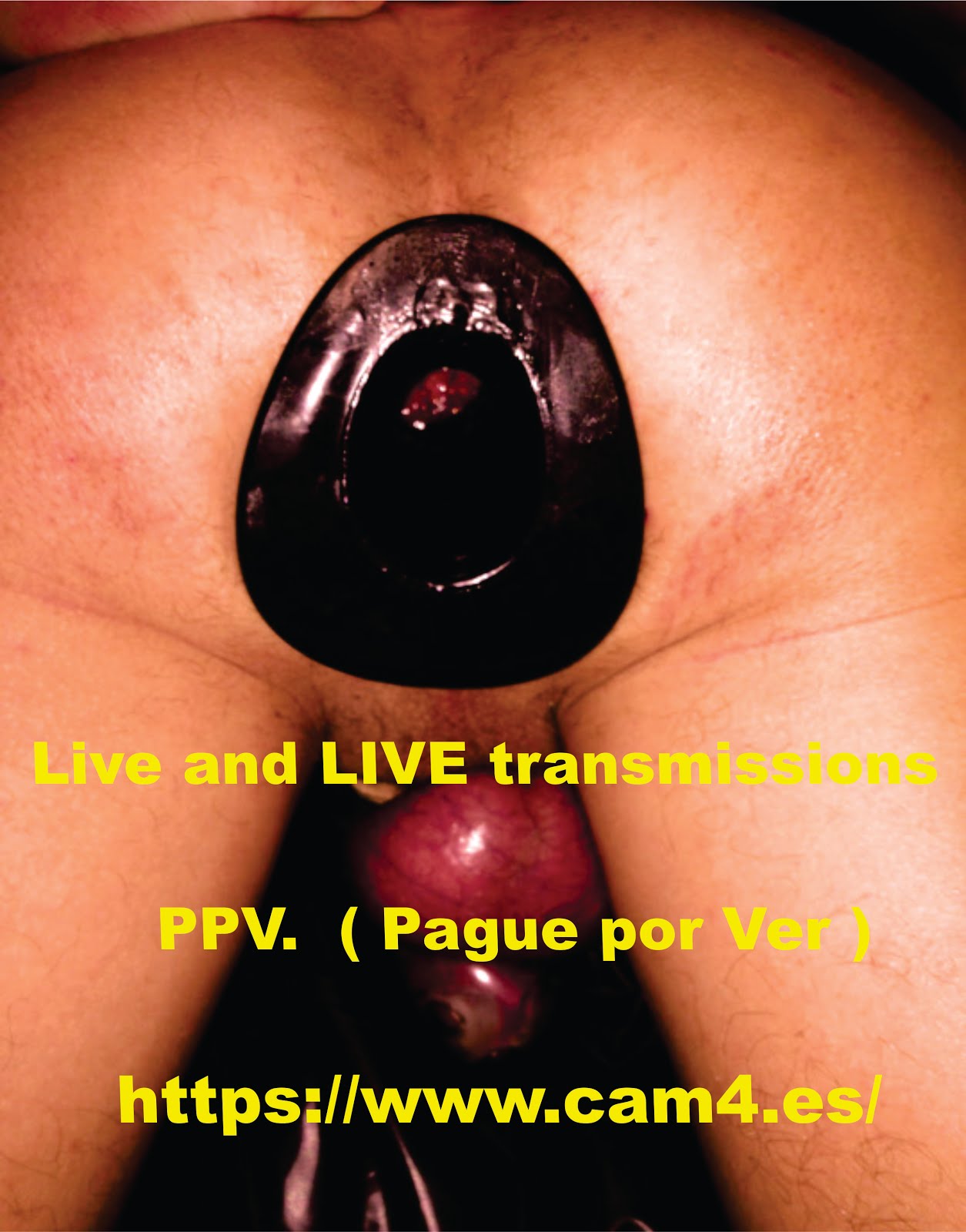 P.P.V. Transmisiones On Line