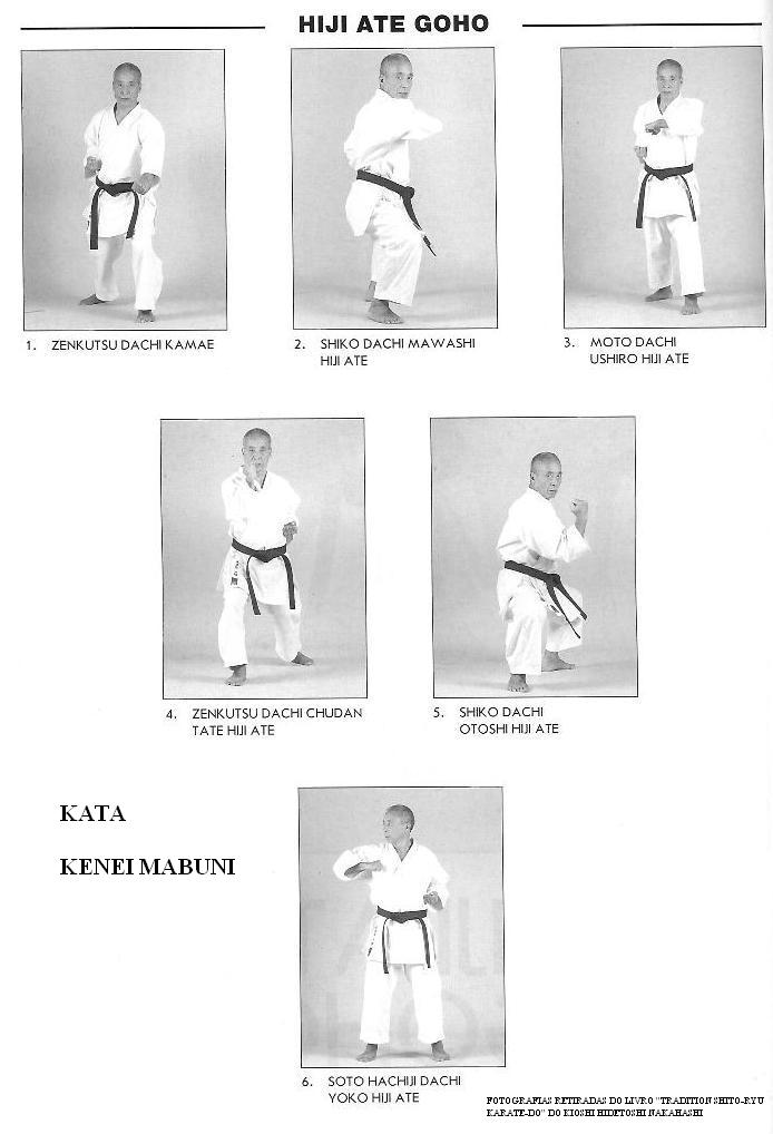 SHITORYU KARATE DO HIJI ATE GOHO