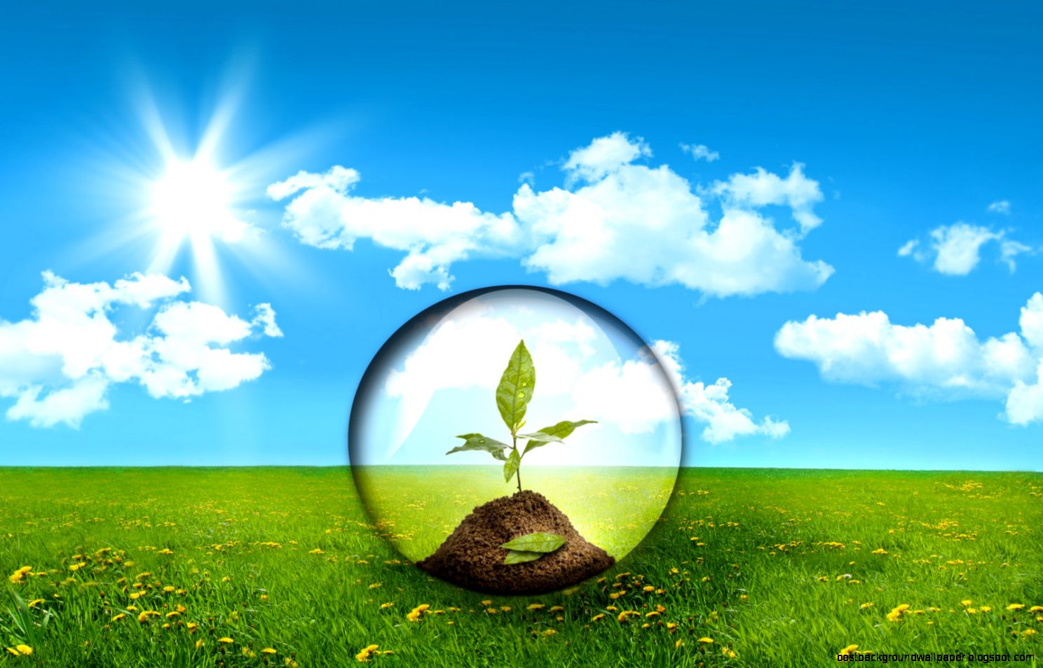 Wallpaper İnteresting Home Designs What Are Eco Friendly Homes Wallpaper İnteresting Home Designs What Are Eco Friendly Homes