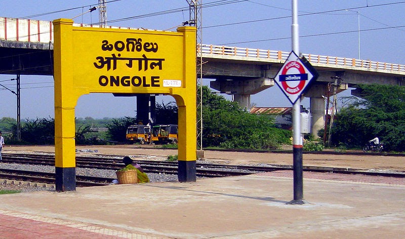 Ongole Bulls History Of Ongole