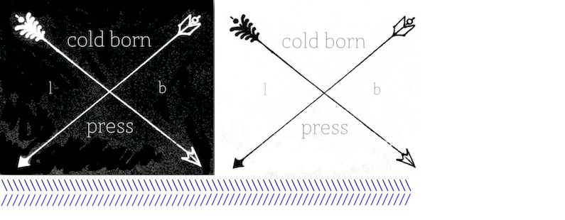 cold born press