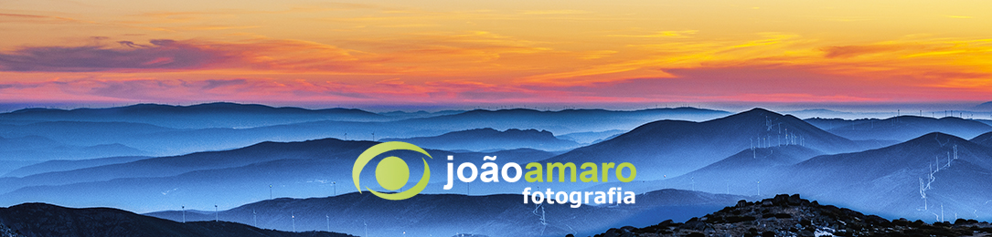 João Amaro - Fotografia