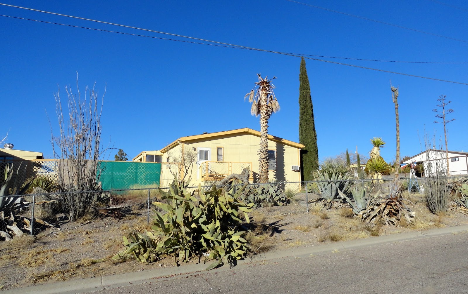 danger garden A few driveby’s in T or C, New Mexico...