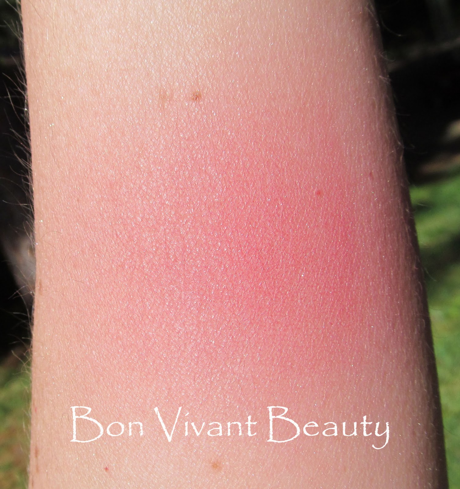 Bon Vivant Beauty Bring on the Pink! Shimmer Pink Pool Blush