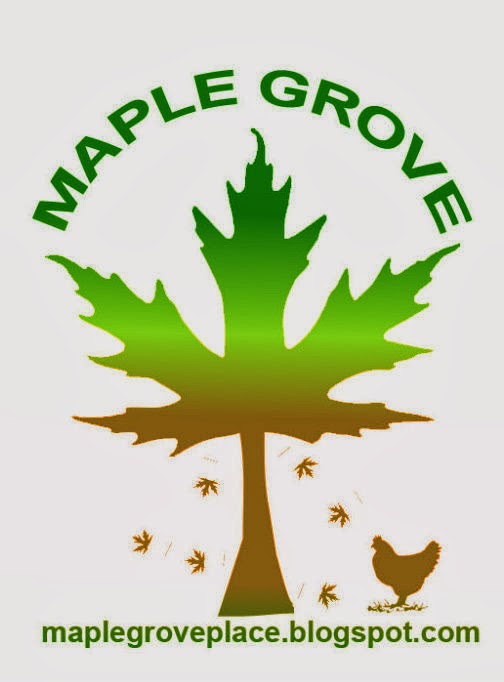 Maple Grove Why Chickens Eat Grit