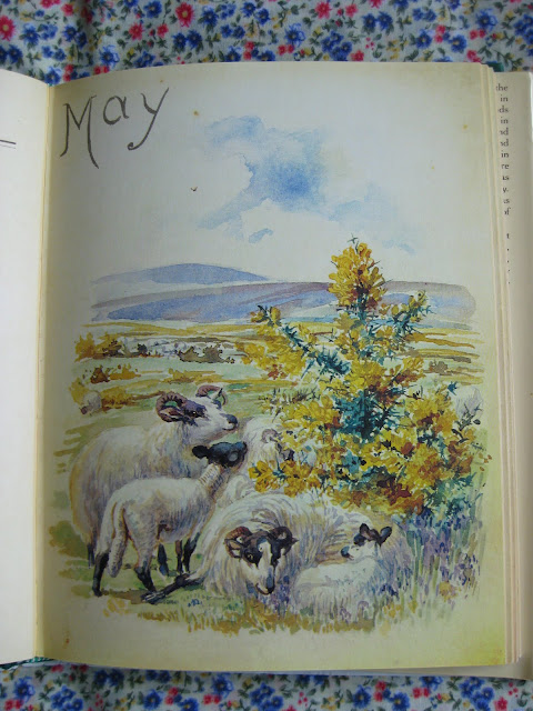 Nature Notes