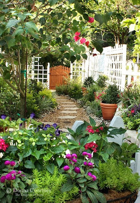 Plantas de Jardín - Diseño y Decoración de Jardines : Jardín y Terrazas