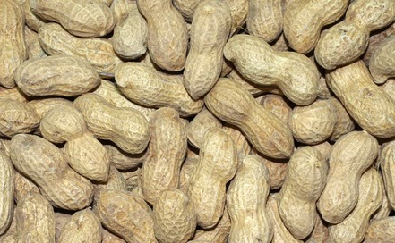 Peanut Free