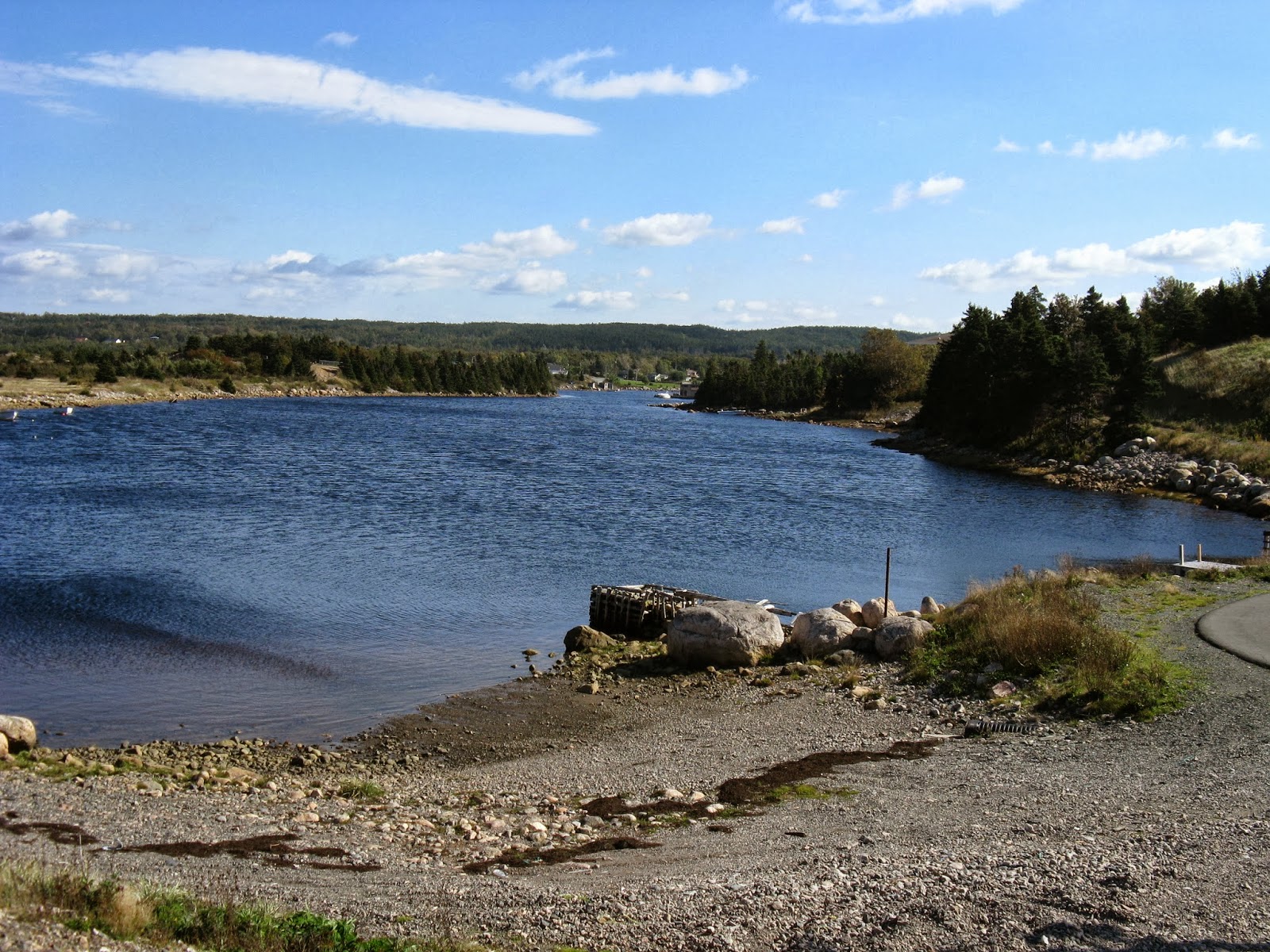 Trekking to Town Leg 4 Seal Cove Indian Pond to Dawe's Hill Road