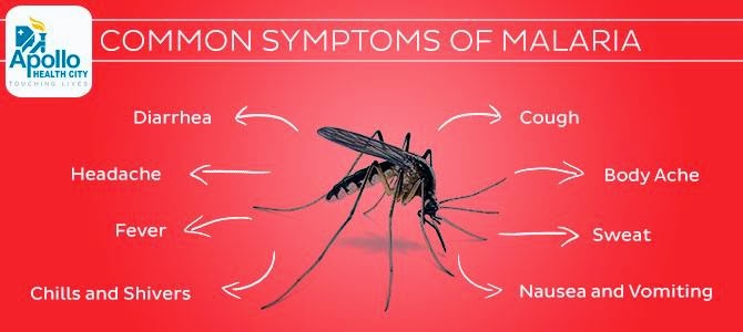 epub wilton holiday bake and decorate a holiday