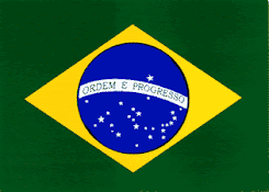 SEL. BRASIL 2016/2017