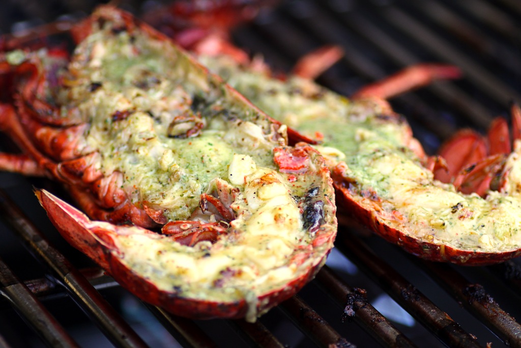 There's a Newf in My Soup! Christening the Grill Steak and Lobster