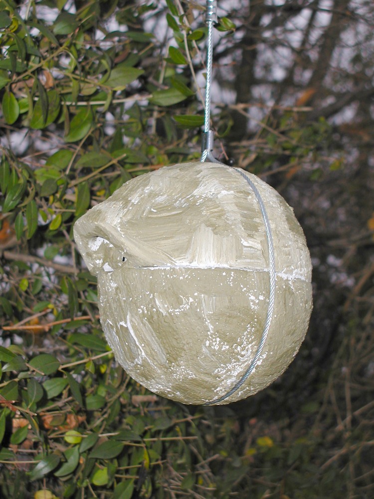 Zaunkönig im Garten ansiedeln Vogelschutz Wildvögel