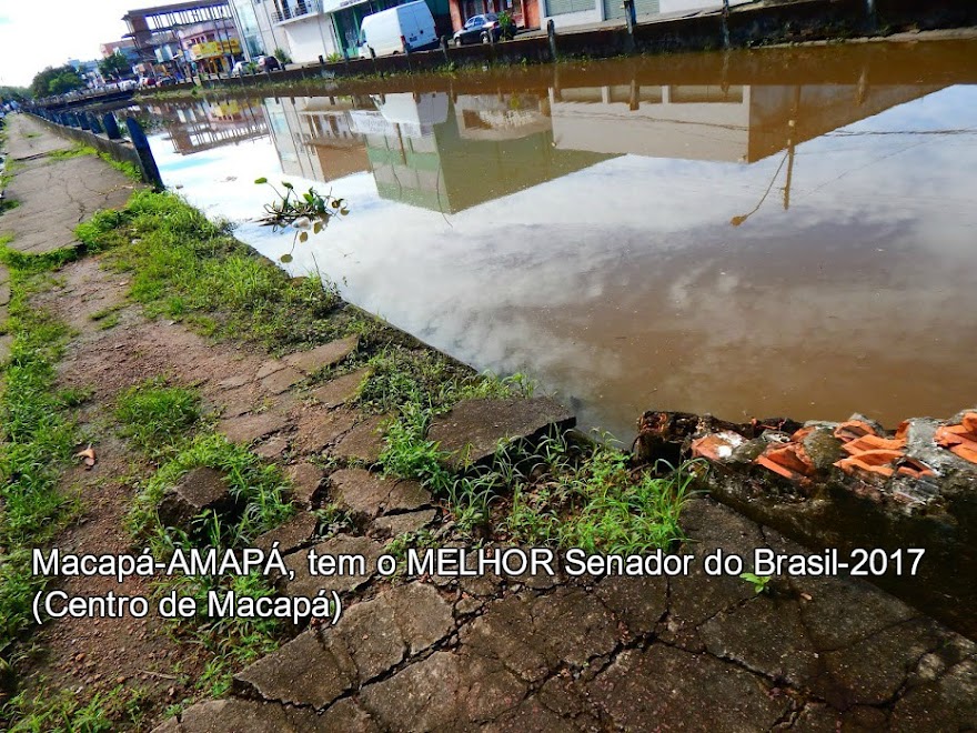 MACAPÁ TEM O MELHOR SENADOR DO BRASIL