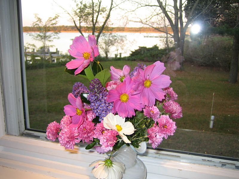 Garden cut flowers, Last flowers of the year? Shore Side Farm House