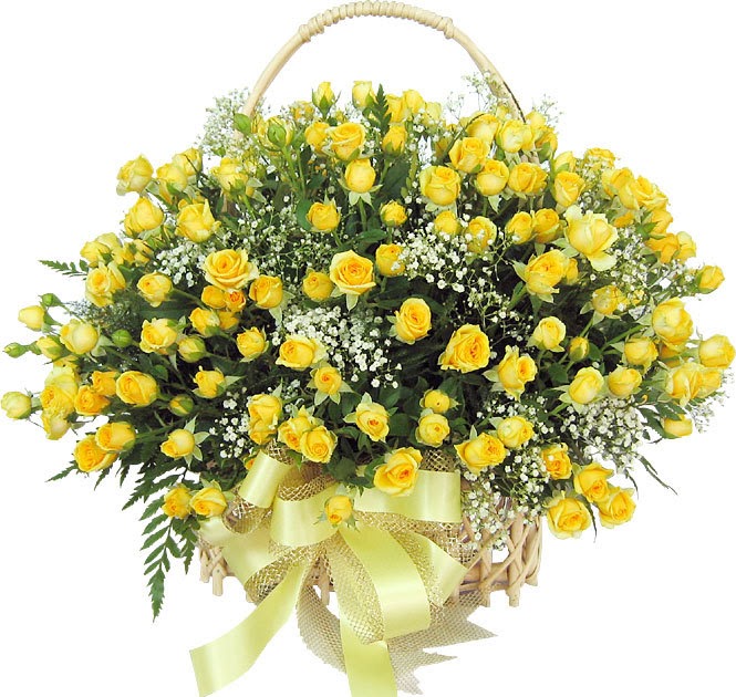 BANCO DE IMÁGENES GRATIS: Arreglo de rosas amarillas - Yellow flower