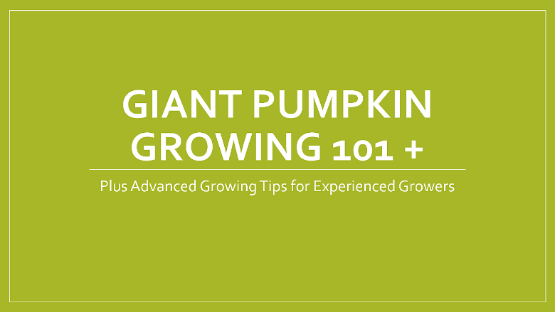 How to Grown Giant Pumpkins Video