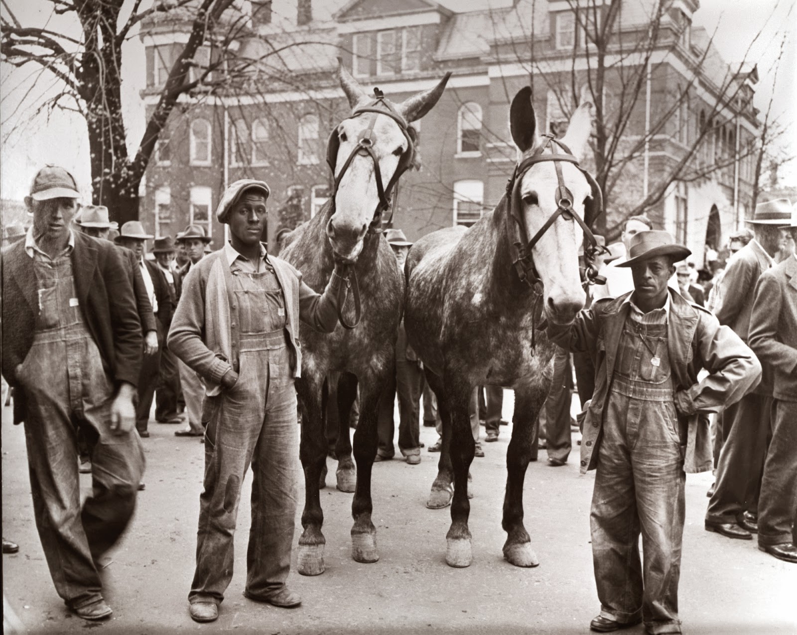 Library & Archives News The Tennessee State Library and Archives Blog