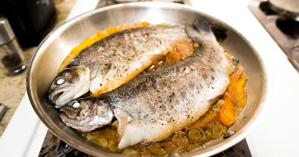 Kneeless Megafauna Apricotbraised Trout