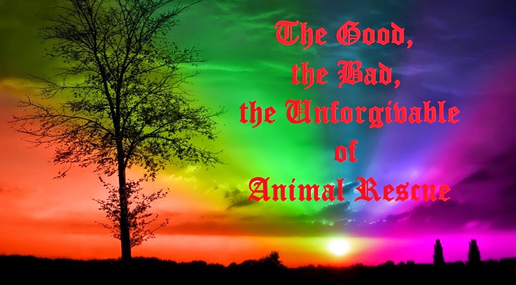 The Good, the Bad, the Unforgivable of Animal Rescue