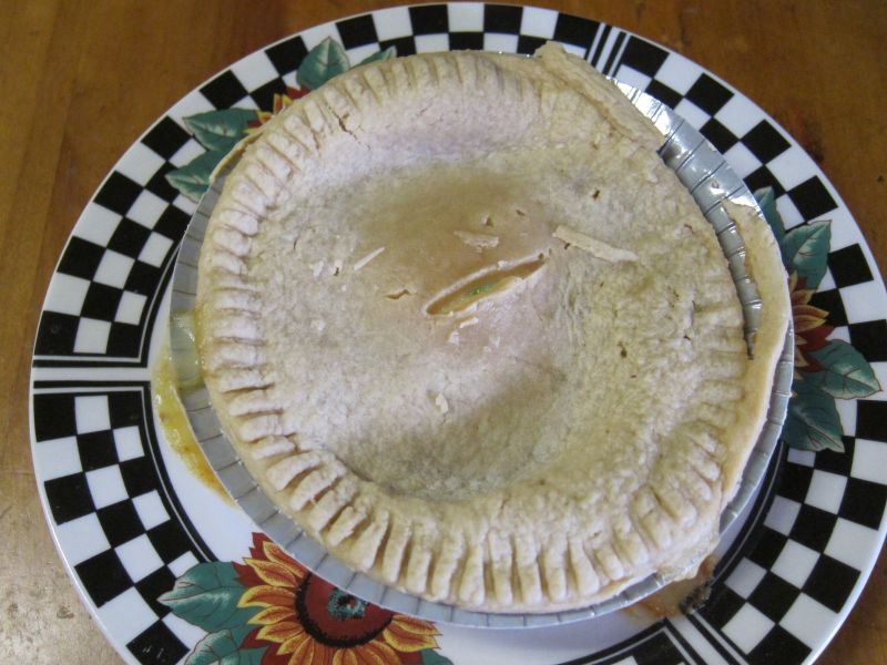 Frozen Friday Swanson Turkey Pot Pie Brand Eating