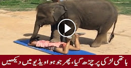 Elephant Treatment