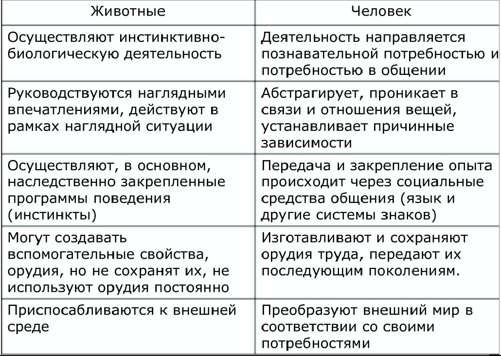Электронная тетрадь Копысова Дмитрия Деятельность