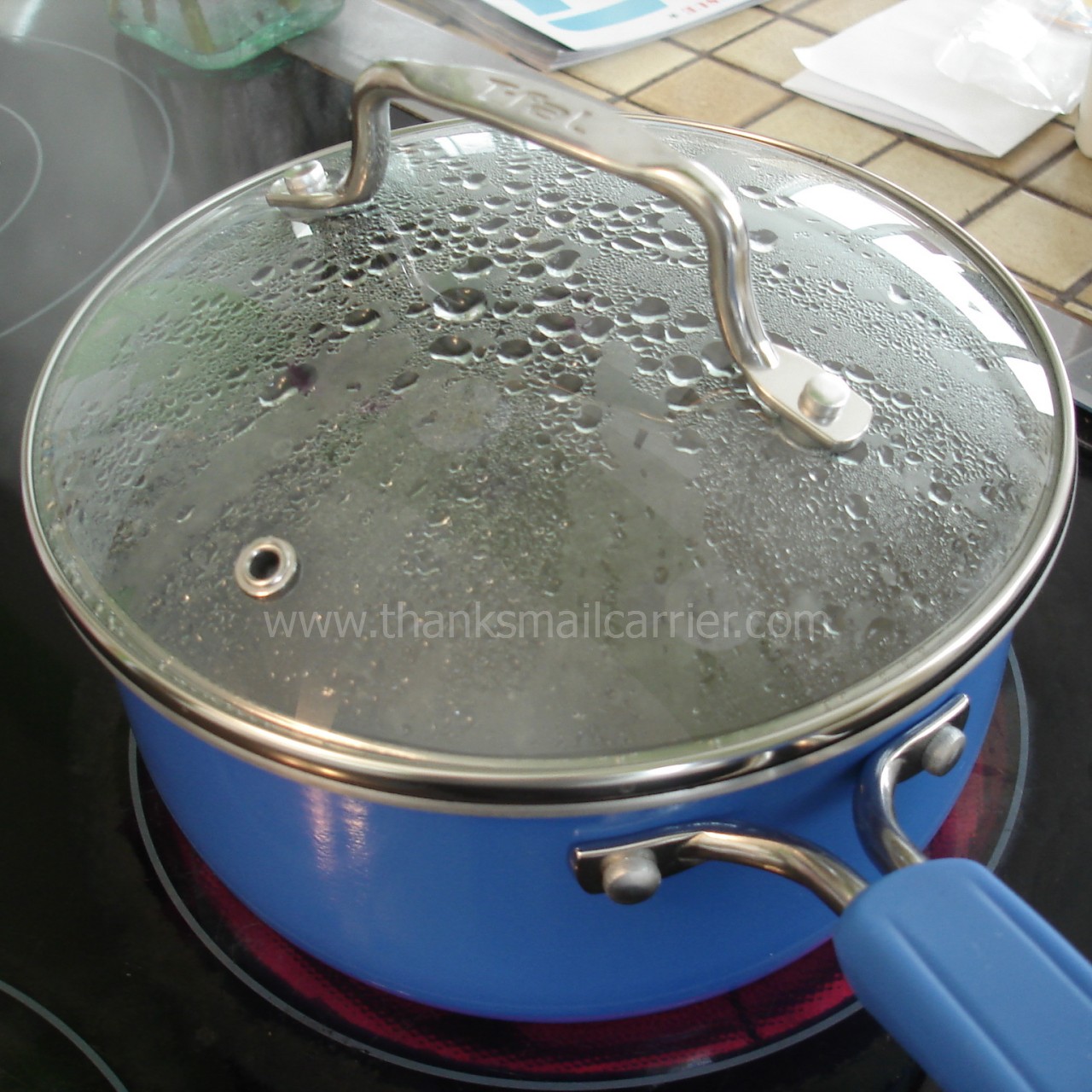 Thanks, Mail Carrier Simply Delicioso with Ingrid Hoffmann by Tfal