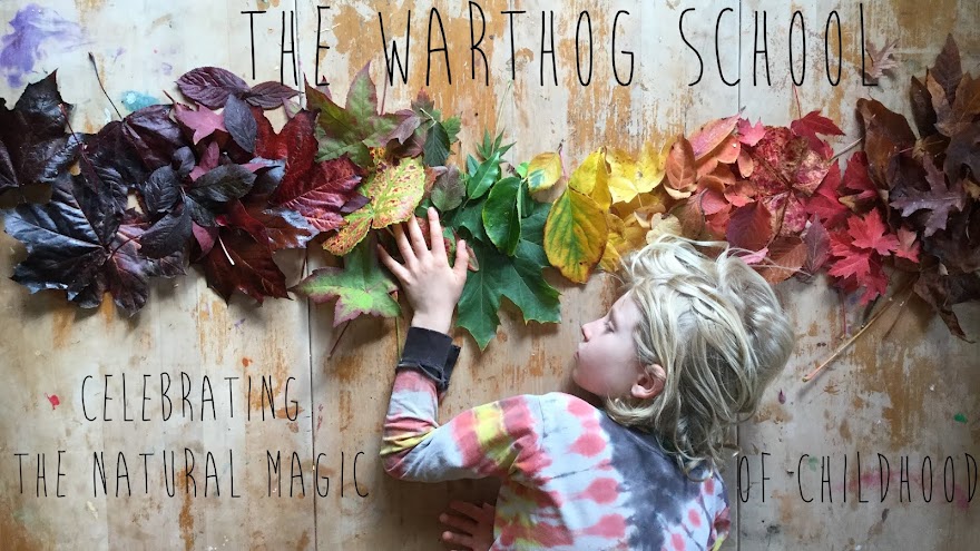 The Warthog School
