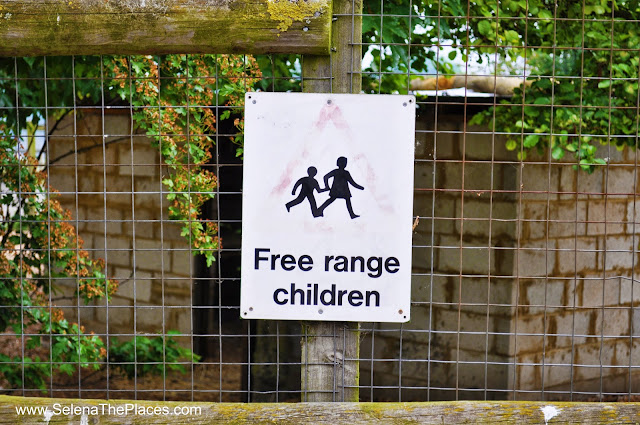 Free Range Children Mudchute Farm