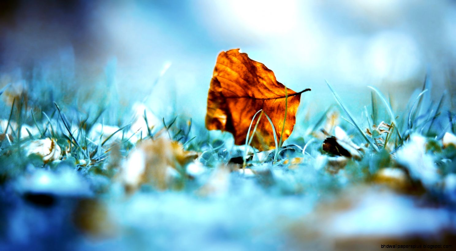 HD Wallpapers page 1 HD Wallpapers page 1