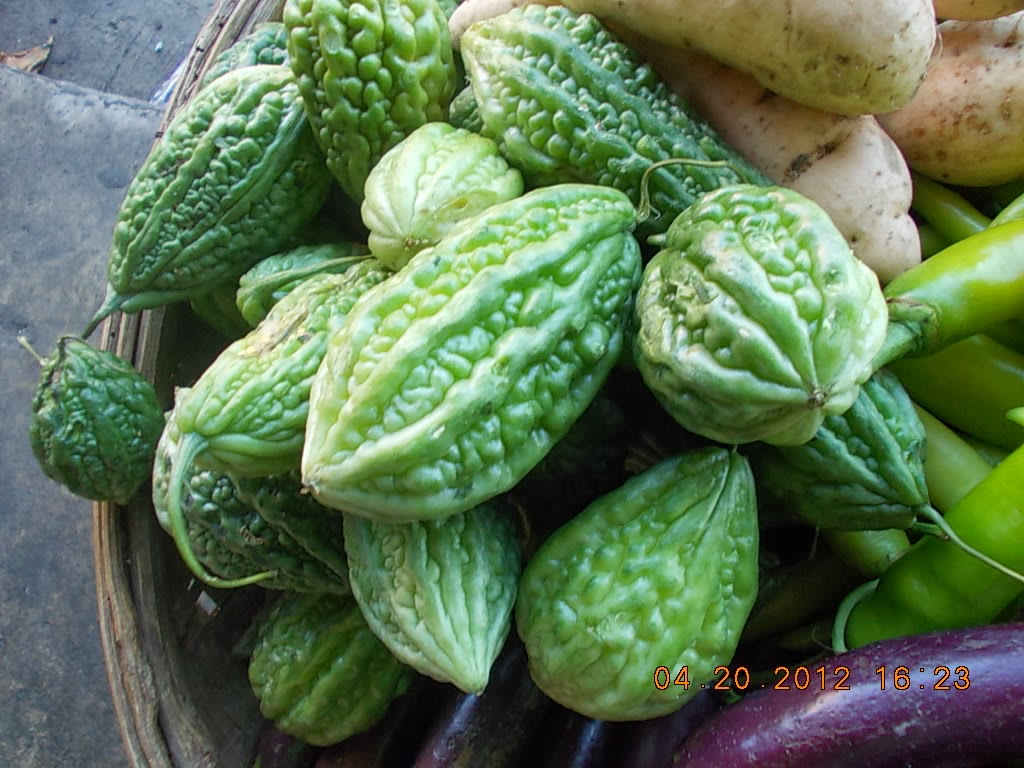 PlantCures 10 Herbal Plants Approved by DOH from Entrepinoy