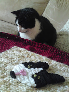 Kater Jackys Blog Mai 2012