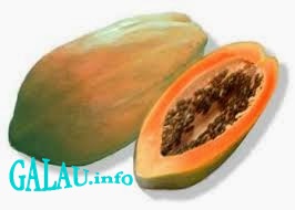 Manfaat Buah Pepaya Bagi Kesehatan
