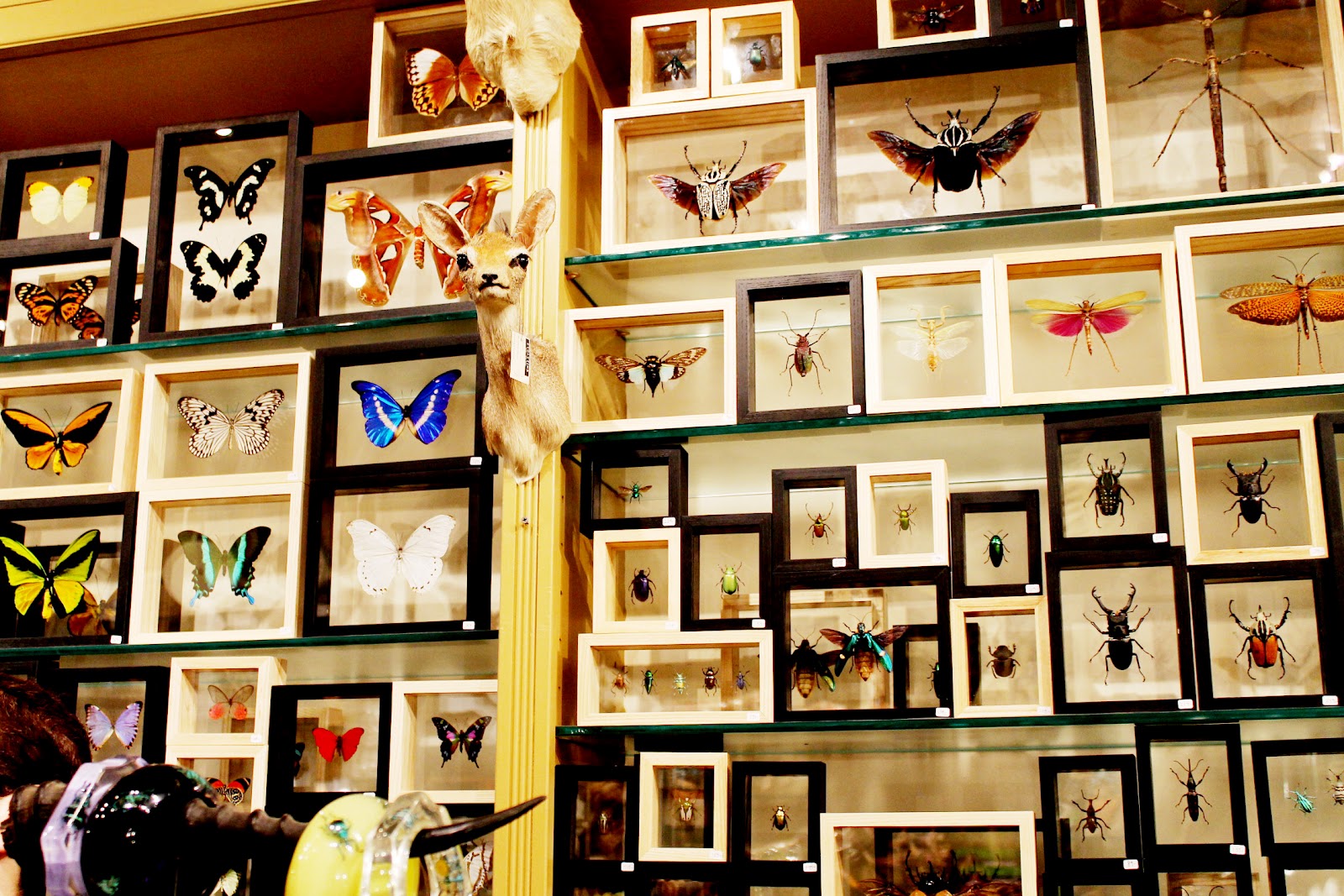 Where to Buy Affordable Art for Your Unaffordable Apartment Racked NY