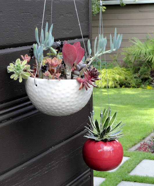 danger garden: Containers…