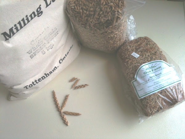 LoKal bread from OUR FARM Bakery.. Organic wheat, spelt and rye.