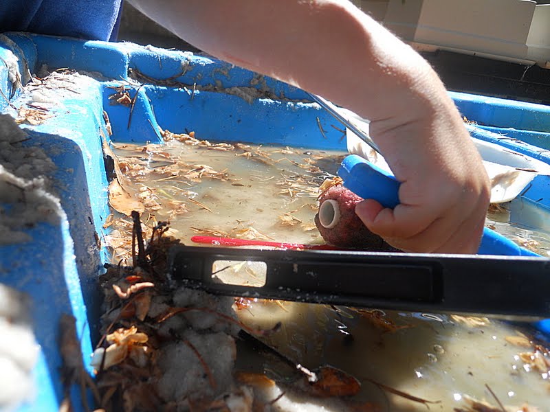 Teaching 2 and 3 Year Olds Sand and Water