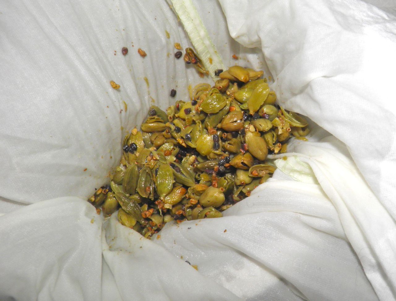 Docaitta Lifestyle Make Your Own Homemade Cardamom Extract