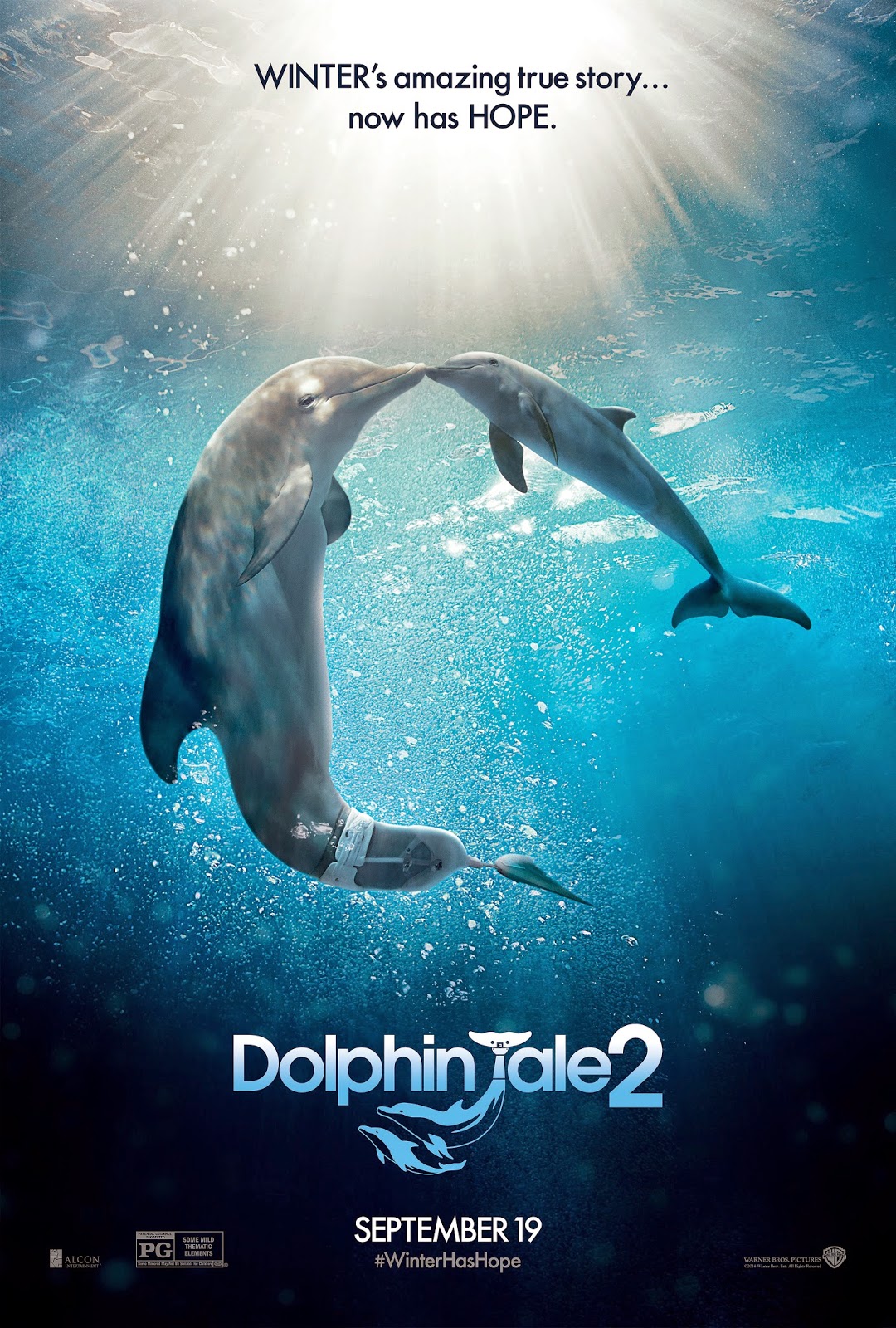 Dolphin Tale 2 Watch Online