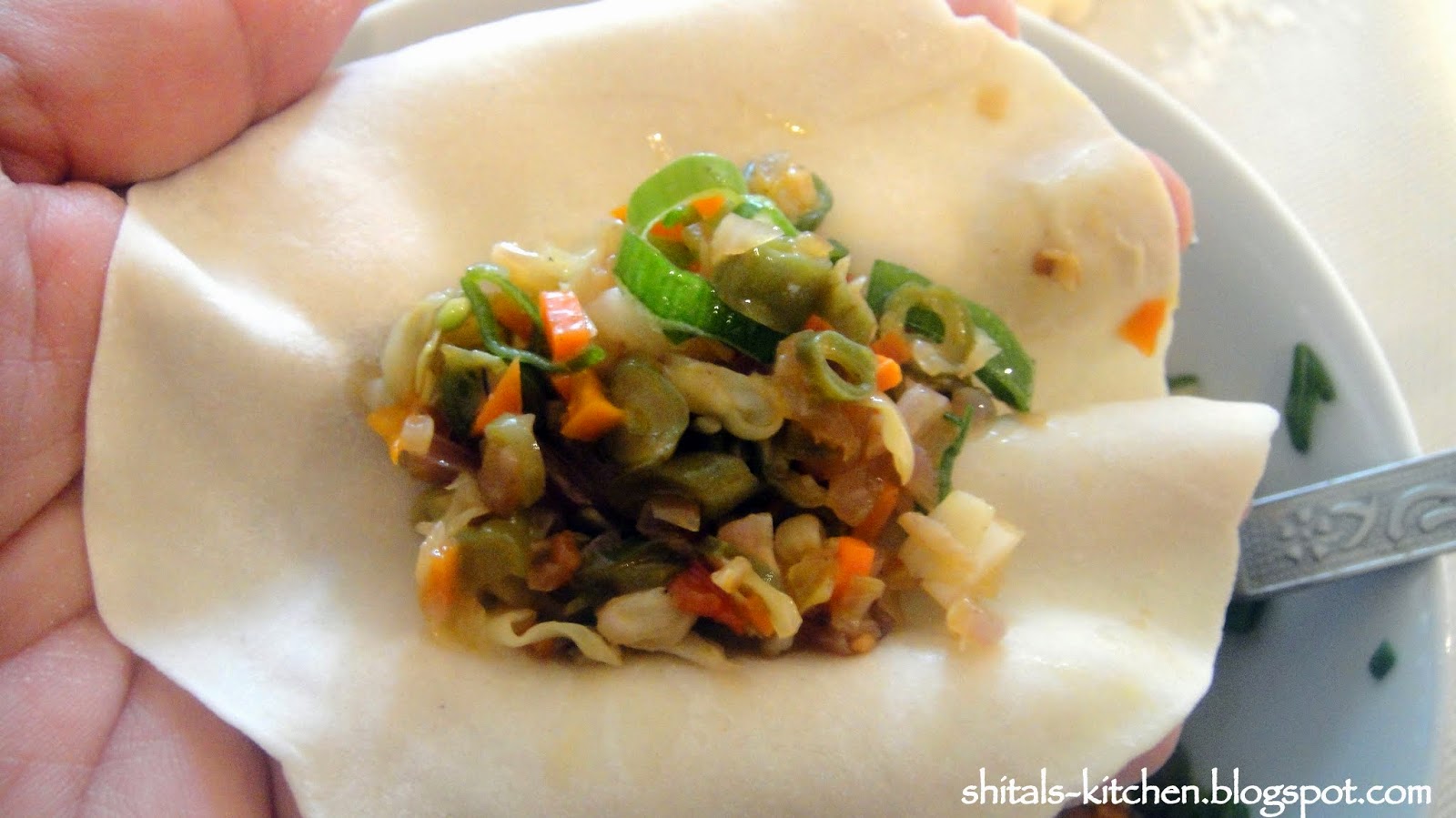 Shital'sKitchen Hand Rolled Potsticker Wrappers