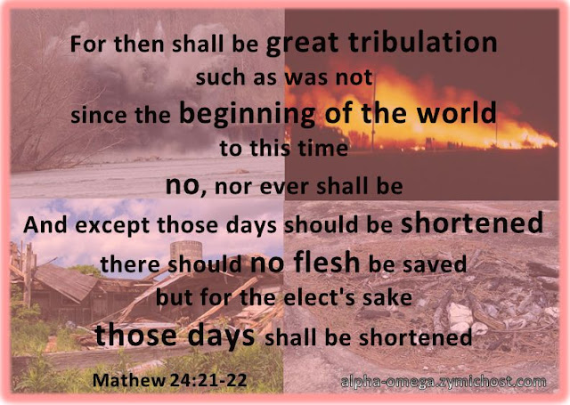 For then shall be great tribulation, such as was not since the beginning of the world to this time, no, nor ever shall be. And except those days should be shortened, there should no flesh be saved: but for the elect's sake those days shall be shortened.