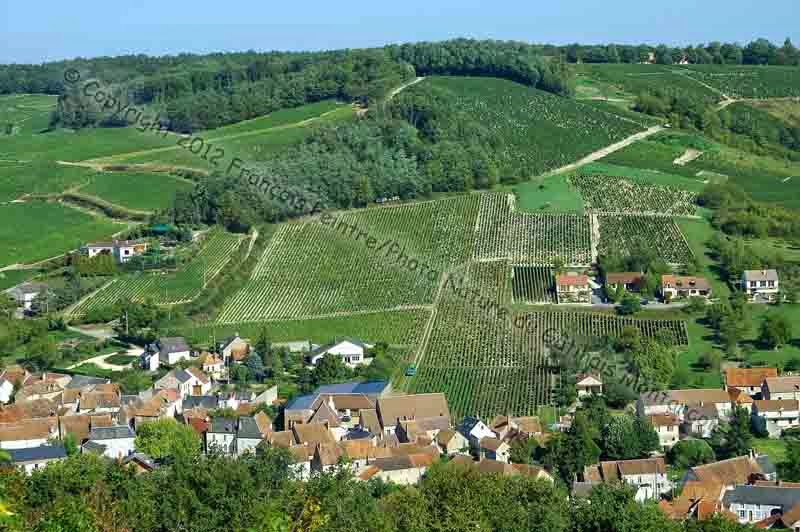 Paysage du Sancerrois