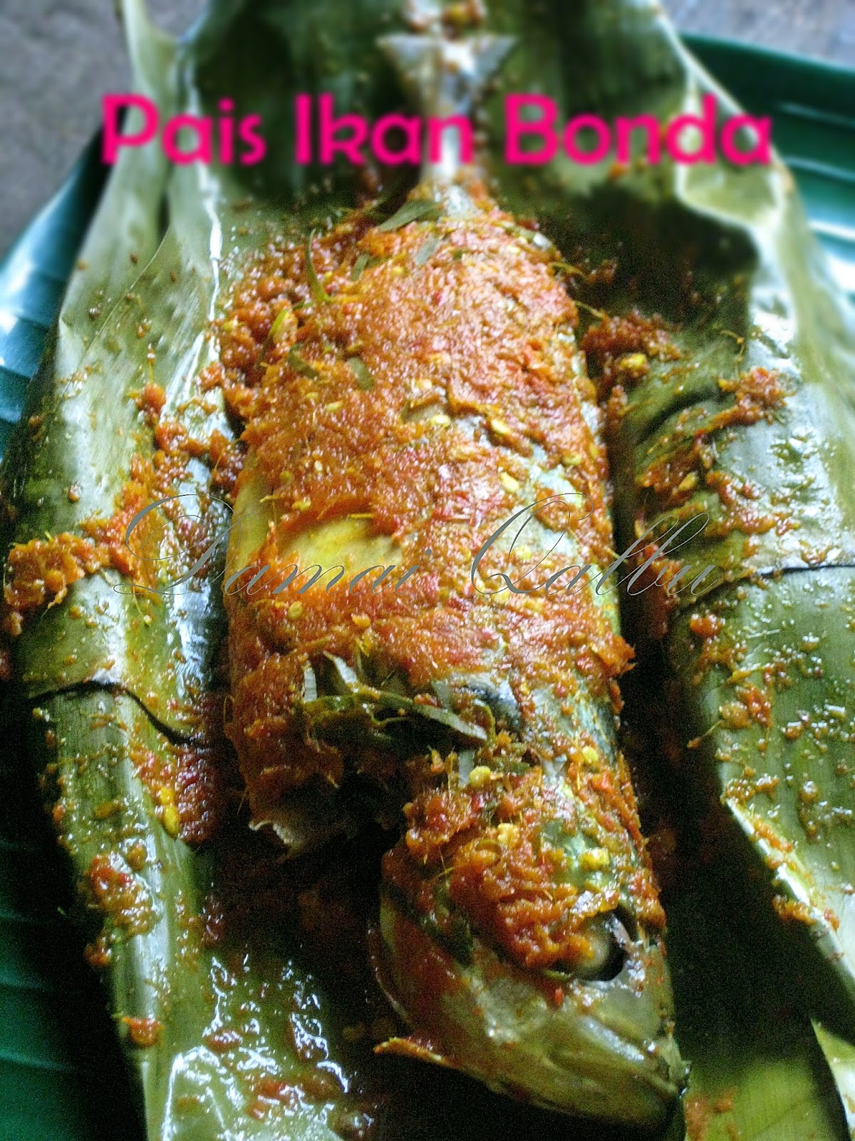 Damai Qalbu Pais Ikan Bonda