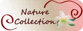 Nature Collection