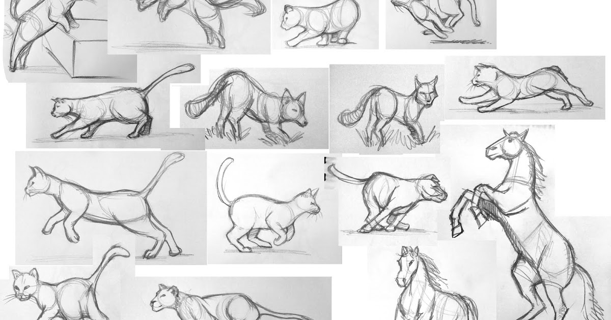 10+ Drawings Of Animated Animals Pictures